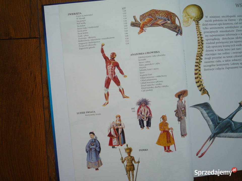 Encyklopedia dzieci Teraz już wiem Książki dla dzieci Szczecin