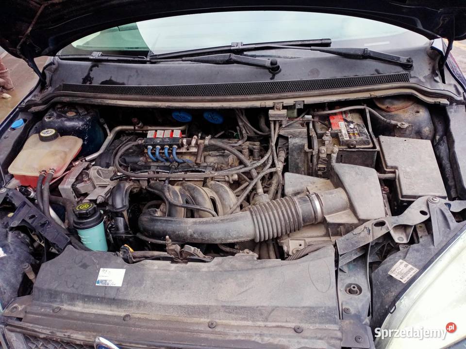 SILNIK FORD FOCUS MK2 II 14 16V 80 ASDA