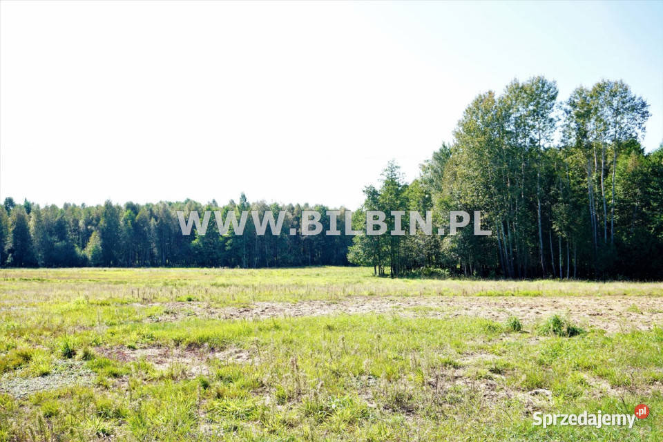 Sprzedam grunt Buda Ruska 8000m2 sprzedam