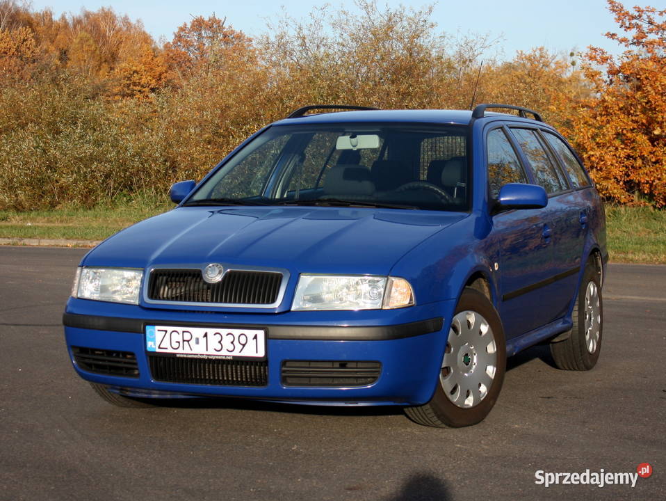 Skoda Octavia 19 TDI 07 KLIMA zarw zadbany