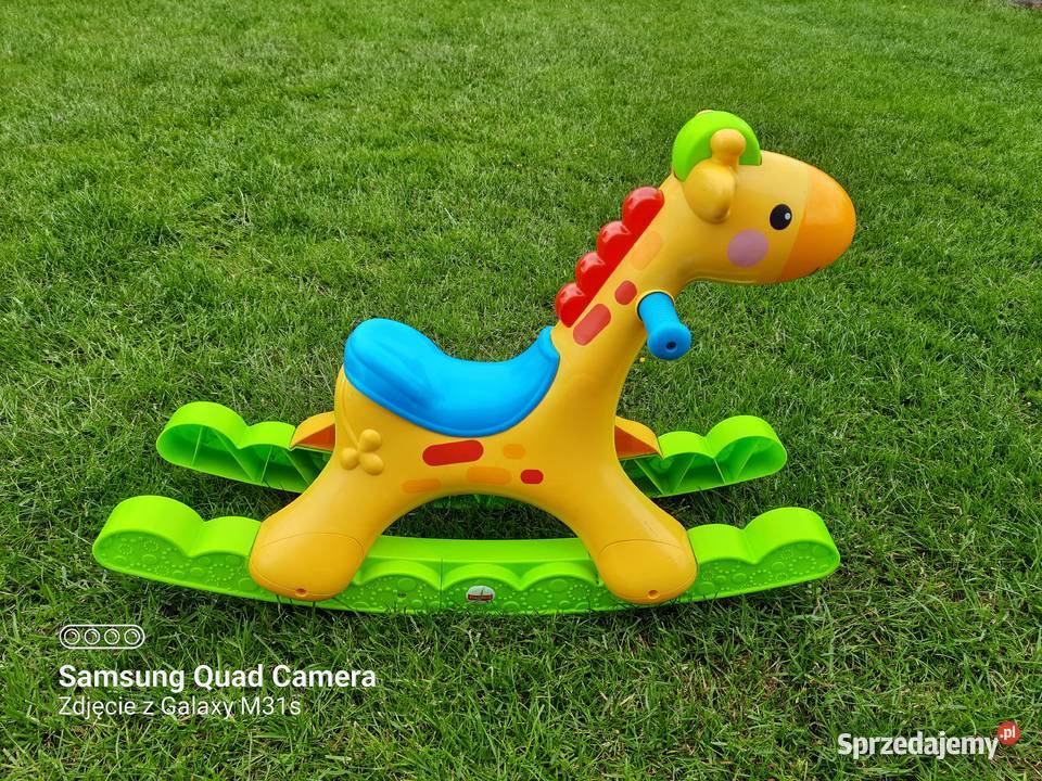 FISHER GRAJĄCA ZEBRA NA BIEGUNACH BUJAK łódzkie