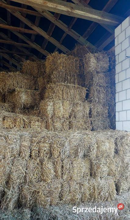 Słoma w kostkach Rolnictwo Biłgoraj