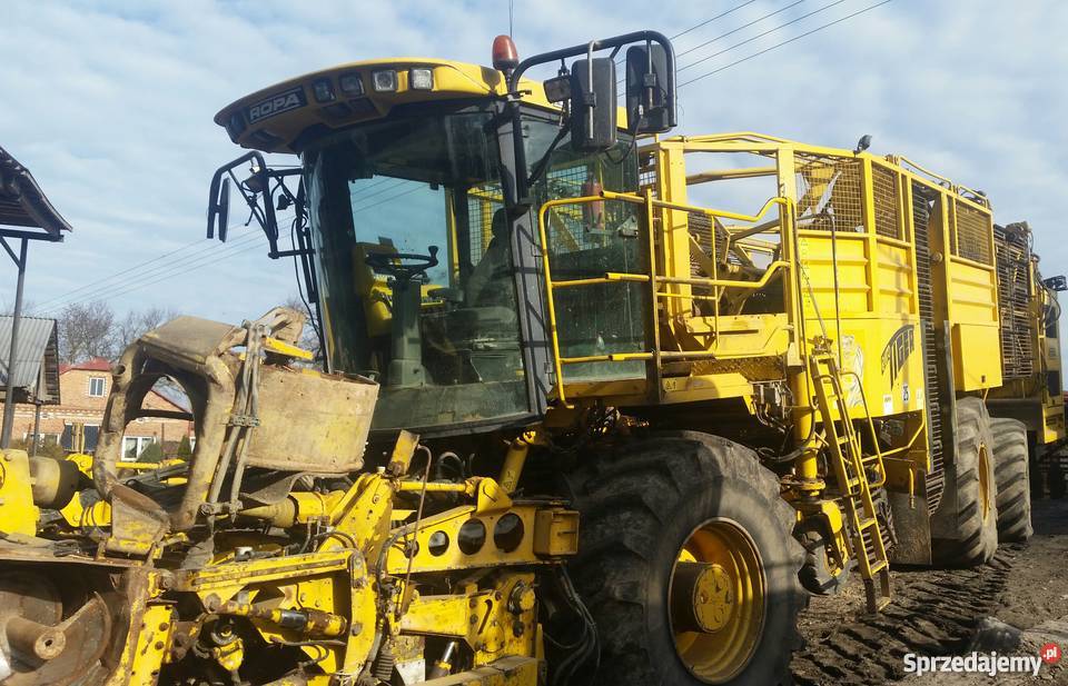 Kombajn ropa euro tiger lubelskie Deszkowice Drugie