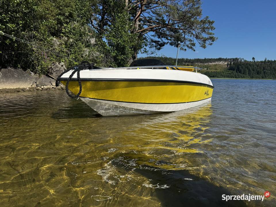 Łódź motorowa Sea King 360 z silnikiem Suzuki z Katowice sprzedam