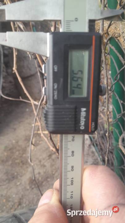 Opony letnie komplet Michelin 22545R19 19cale Wrocław