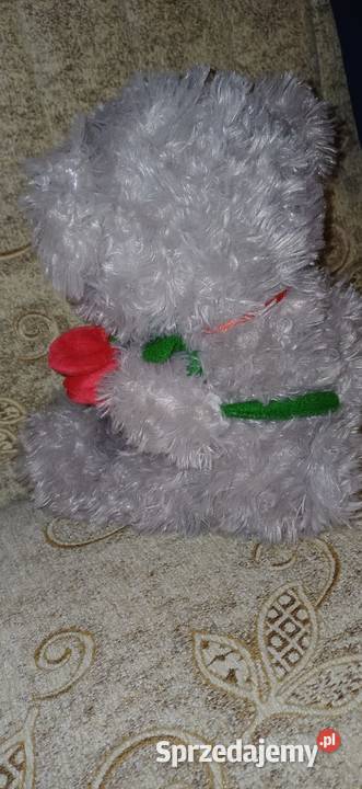 Miś pluszowa zabawka na Walentynki łódzkie