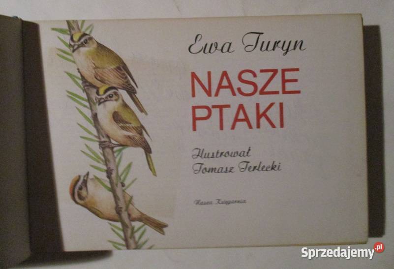 Nasze ptaki Ewa Turyn ptaki przyroda ptactwo