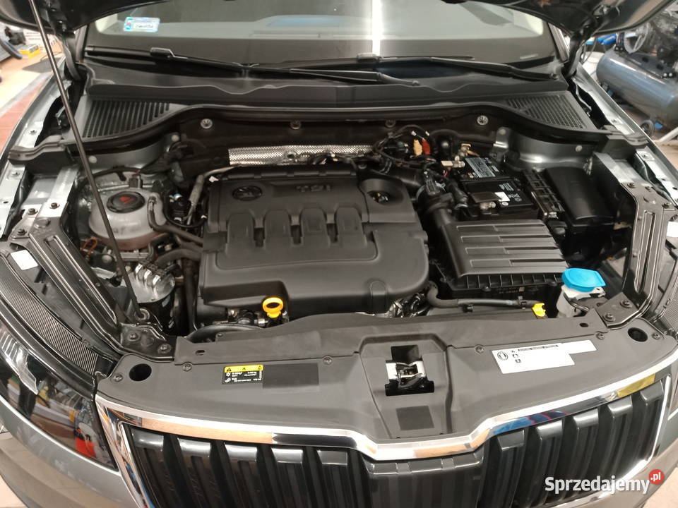 Skoda Karoq Pozostałe dolnośląskie Jugowa