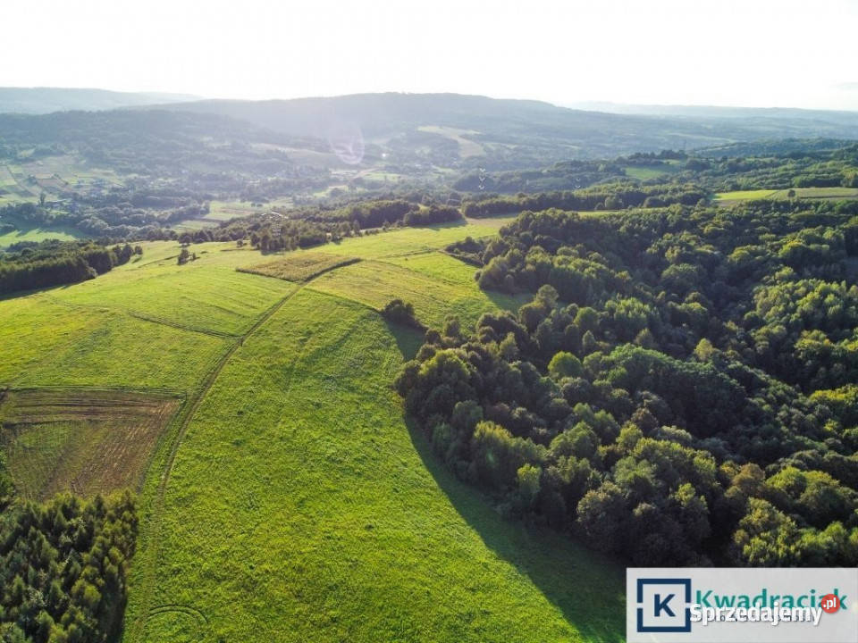 Grunt sprzedam Lutcza 44800m sprzedam