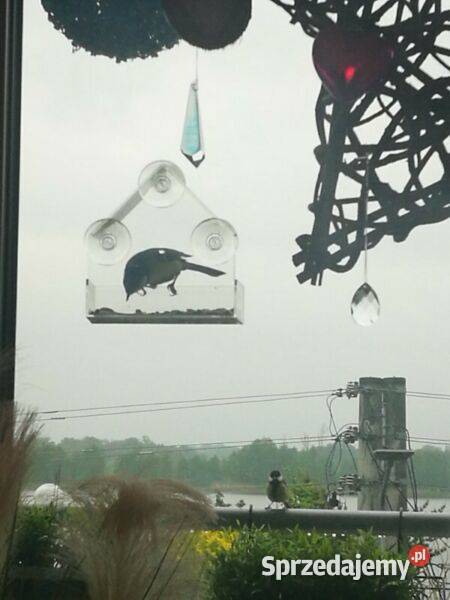 karmnik na szybę szyby przezroczysty akryl sprzedam