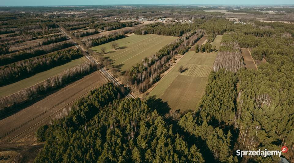 Działka budowlana w Błędnicy Mieszkaniowo Błędnica