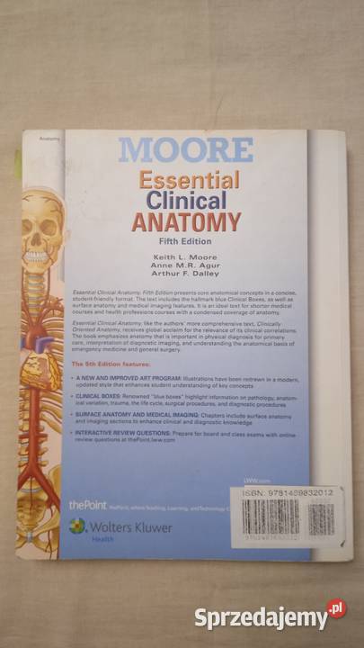 Essential Clinical Anatomy Keith Moore Warszawa