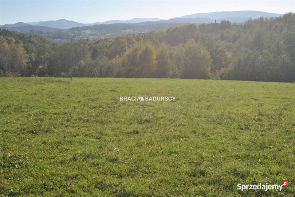 Sprzedam działka Dziekanowice 1677m2