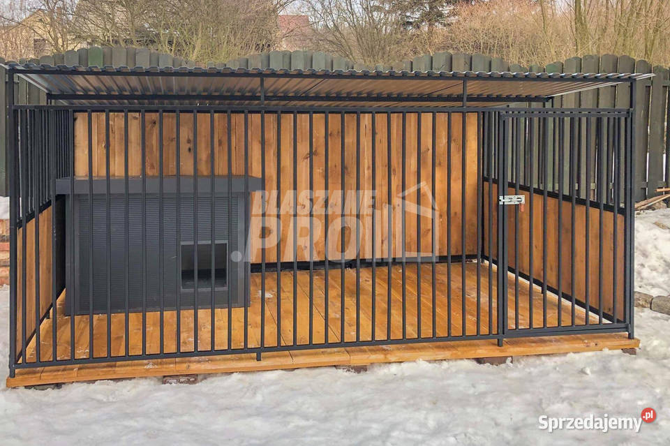 Kojec psów 4x2m Drewniana podłoga ściany Chodzież sprzedam