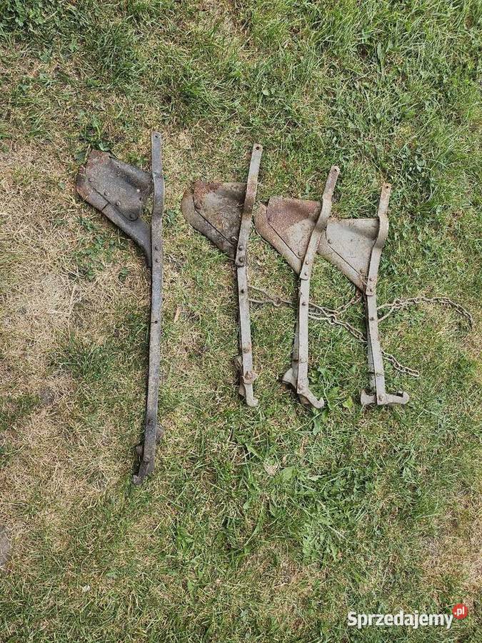 Redlice siewnik Poznaniak łódzkie Domaniewice sprzedam