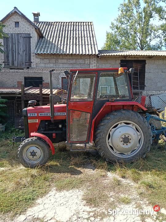 Massey Ferguson Massey Ferguson Szczawin Kościelny