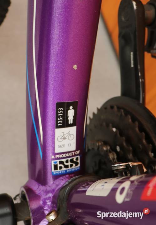 Rower młodzieżowy Bixs Mariposa H 34 mazowieckie Milanówek