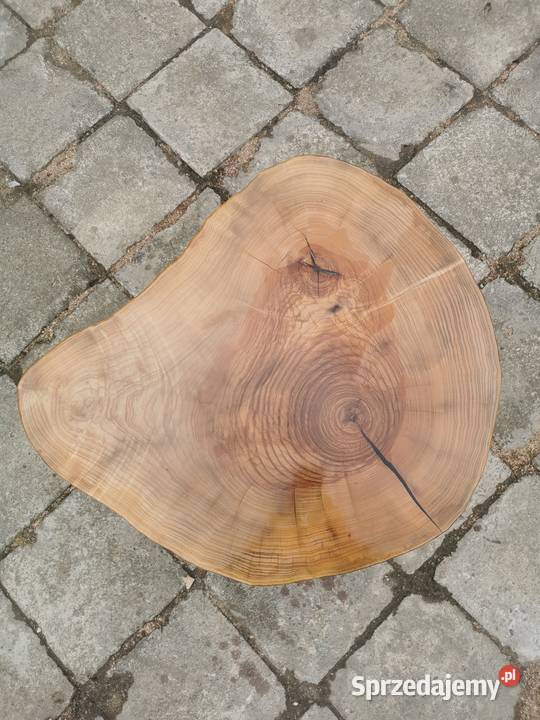 Stolik kawowy plaster olcha żywica epoksydowa