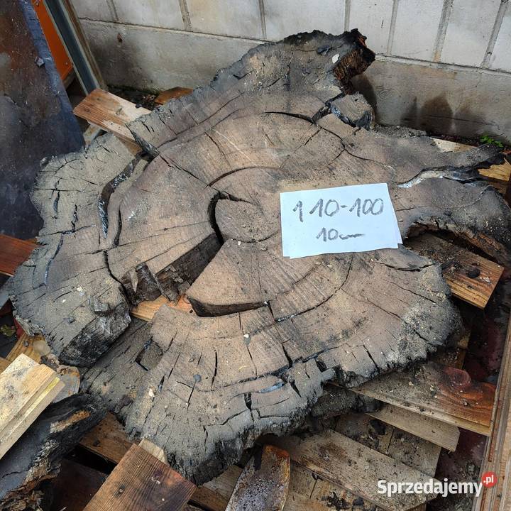 Plaster Czarny Dąb wielkopolskie Nowy Tomyśl