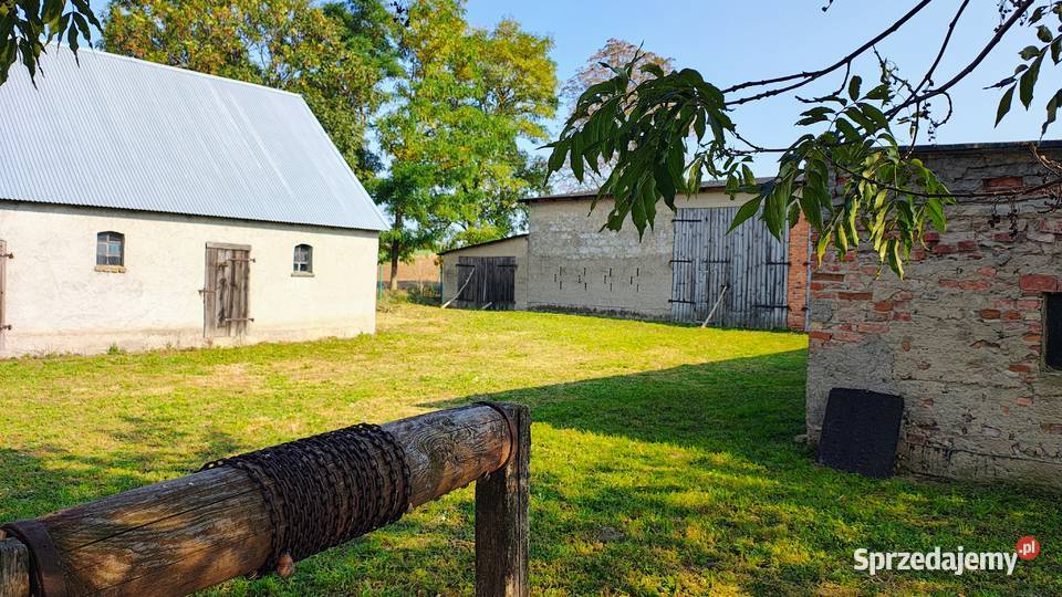 Sprzedam gospodarstwo dom budynki gospodarcze Sprzedaż Osieczek