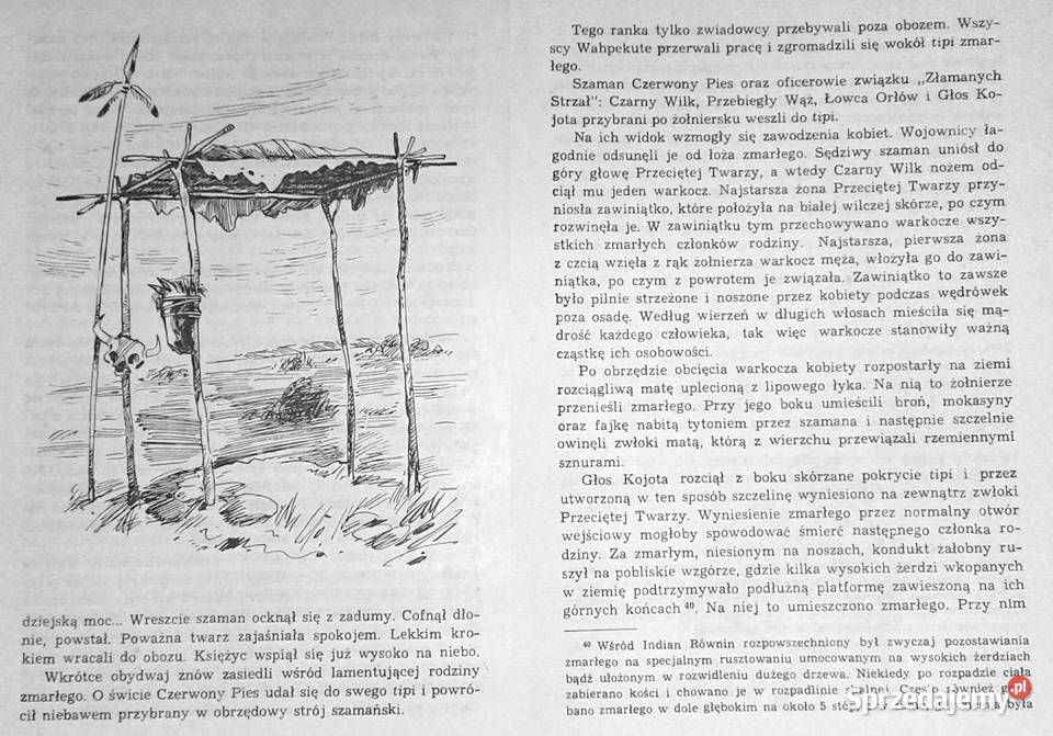 Złoto Gór Czarnych Przekleństwo złota Tom 2 K i miękka Chełm