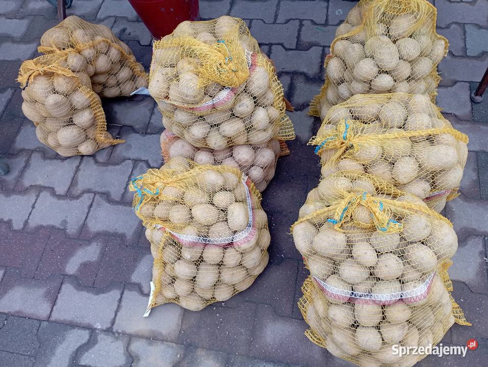 ZIEMNIAKI odm Gala Prosto Rolnika Jadalne śląskie