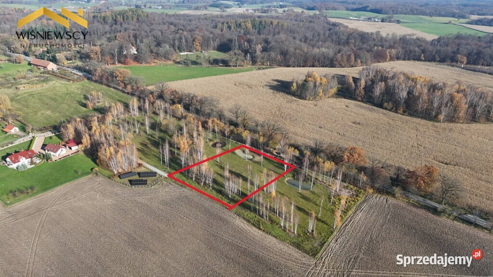 Dawidy duża działka 05306 ha WZ