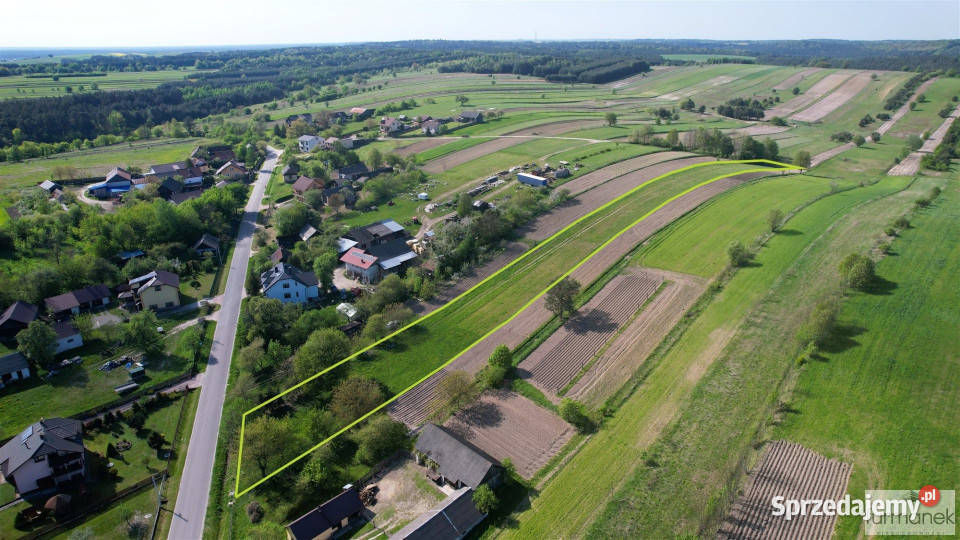 Działka 5416m2 Sochy