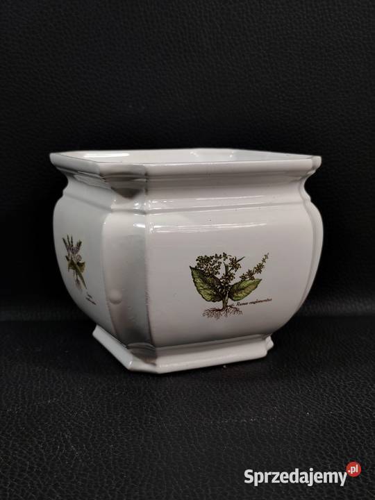Unikatowa Osłonka Botaniczna Poole Pottery Seria łódzkie Poddębice