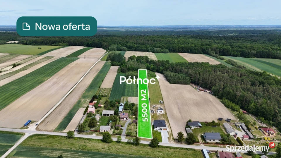 Duża działka z lasem i mediami