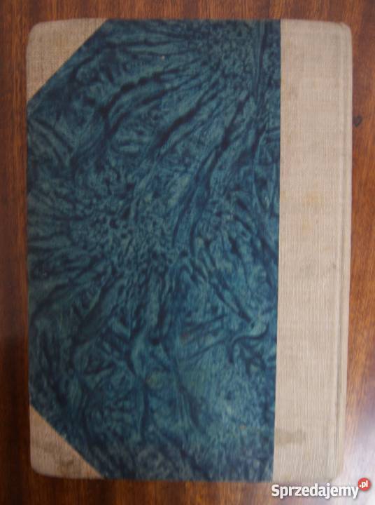 Stefan Żeromski Pomyłki 1923 Parczew