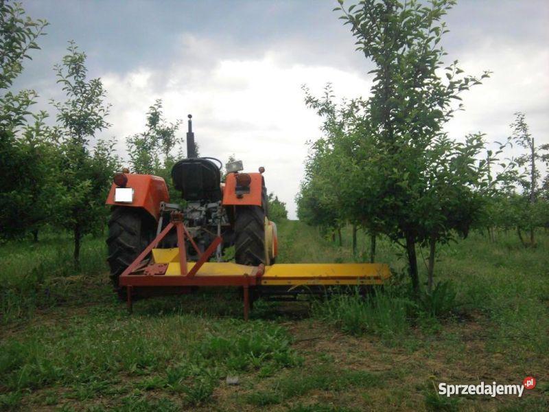 Glebogryzarka sadownicza świętokrzyskie Sandomierz
