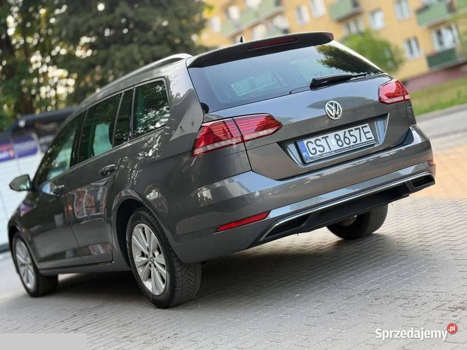 Volkswagen Golf VII 16 TDi 116 2019r 1598cm3 Skarszewy