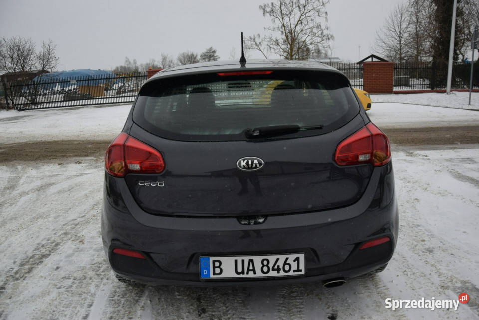 Kia Ceed 14B 2014r 107 Oryginał Lakier 2 KPL KÓŁ Majdan Sieniawski