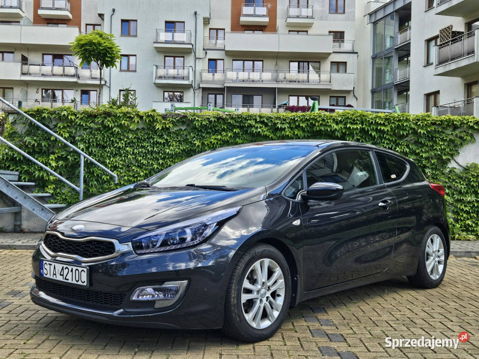 Kia Ceed Salon Polska Oryg Lakier II 2012 Tarnowskie Góry