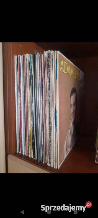 Gigantyczny MIX płyt winylowych do wyboru do Muzyka lubelskie sprzedam