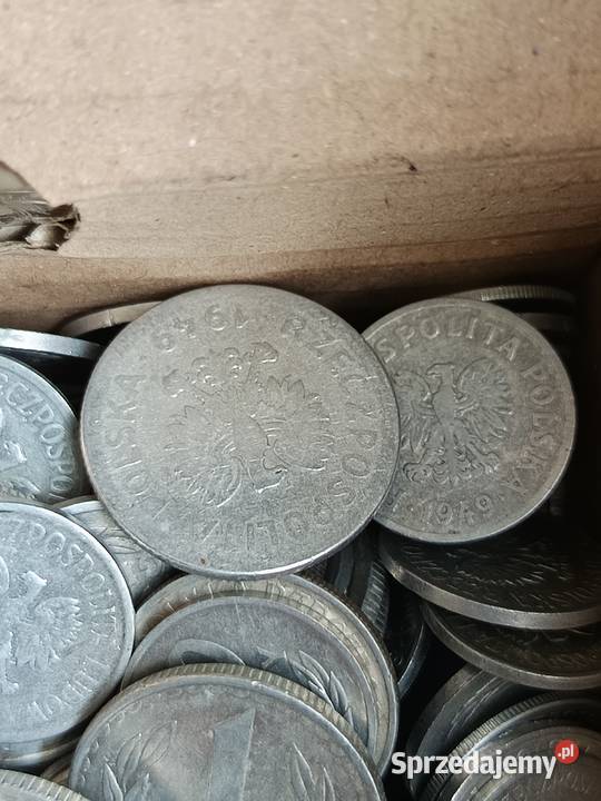 Sprzedam 11 kilograma monet aluminiowych z lubelskie Chełm