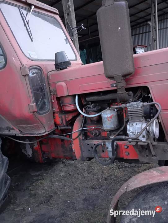 MTZ 52 Zarejestrowany Ubezpieczony kujawsko-pomorskie Stążki sprzedam