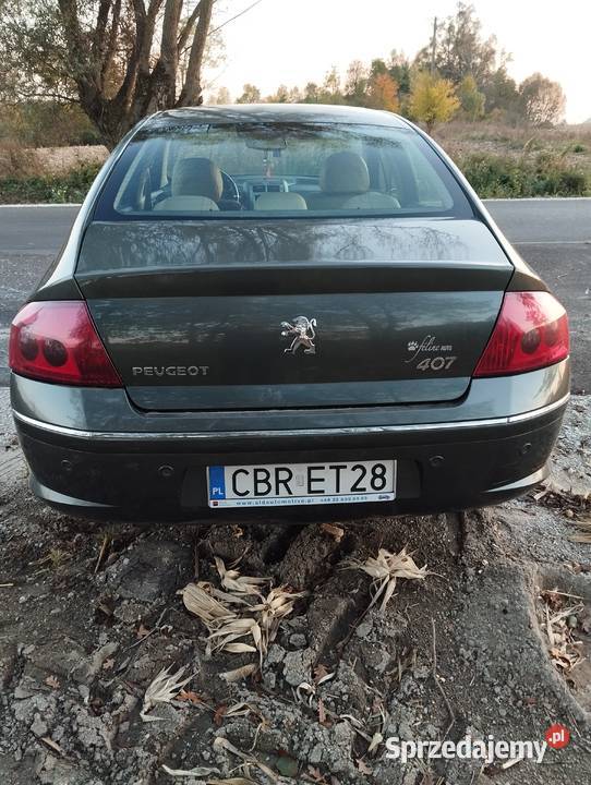 Peugeot 407 kujawsko-pomorskie Jabłonowo Pomorskie