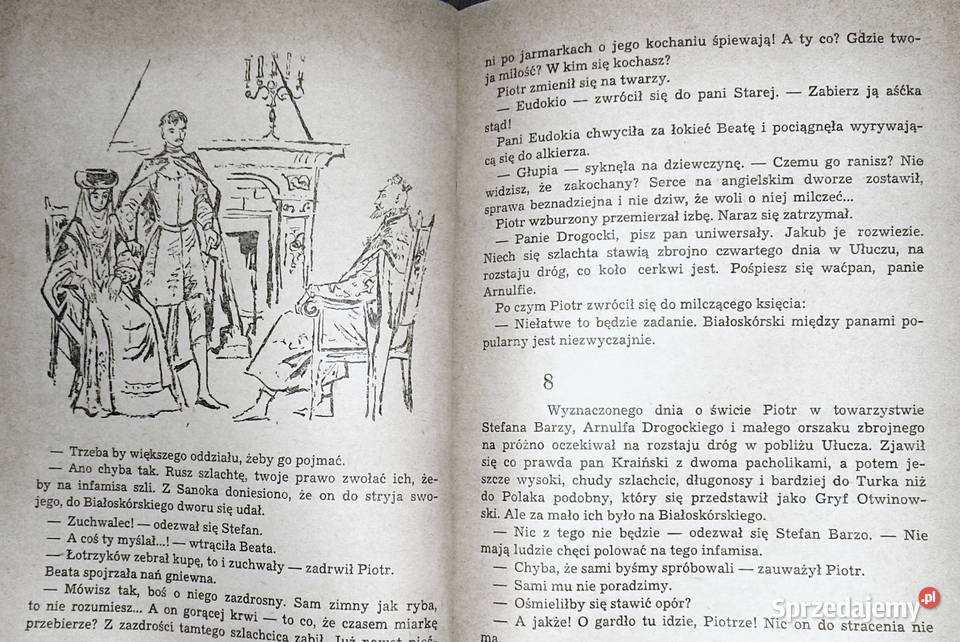 Przypadki starościca Wolskiego Tom 1 Józef Hen Pozostałe Kultura i Rozrywka lubelskie Chełm