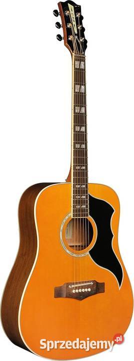 EKO Guitars 06217128 Ranger VI Dreadnought akustyczna Rzeszów