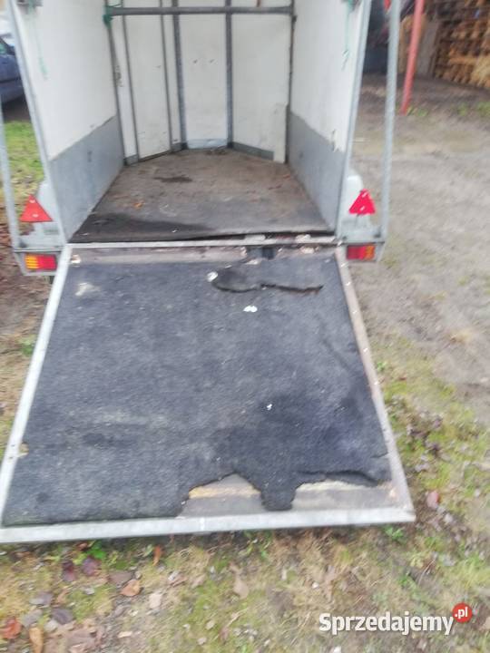 PRZYCZEPA DO PRZEWOZU KONI Dobroń sprzedam