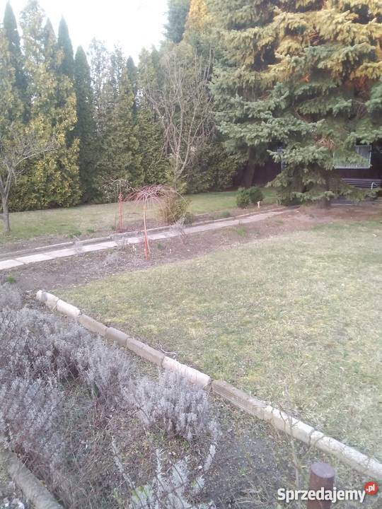 Działka rekreacyjna 300m2 Grunty i działki Sochaczew