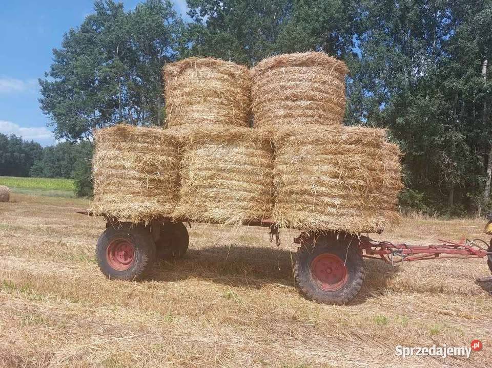 Przyczepa niemiecka wywrotka Przyczepy rolnicze Ostrołęka