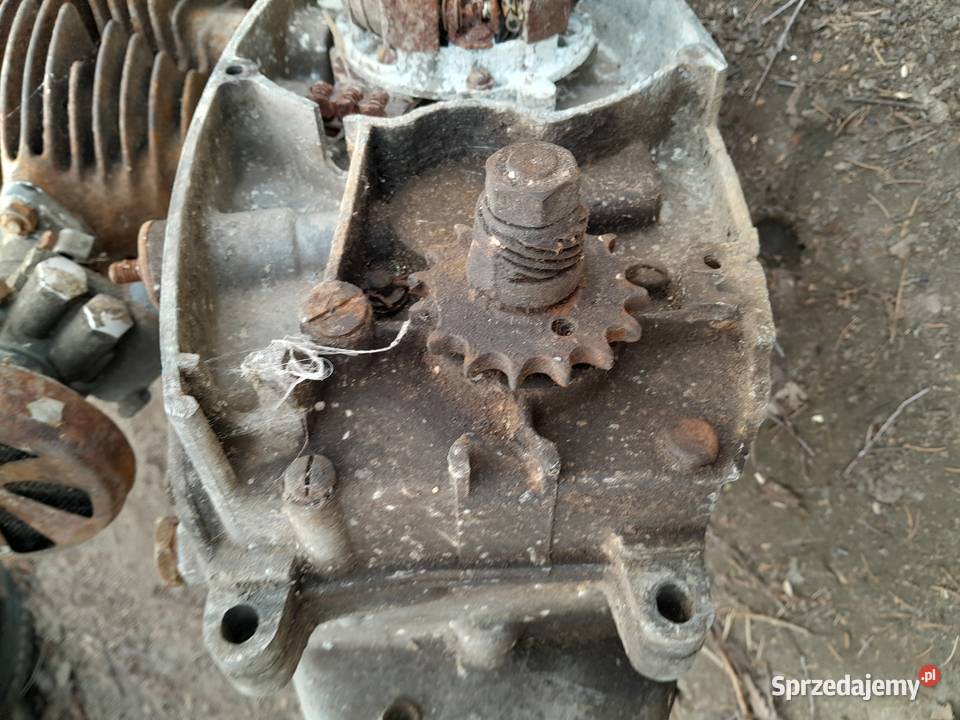 Silnik pannonia Świerzawa sprzedam