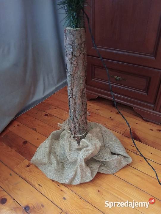 Choinka na pniu 180 ośnieżona lampki w komplecie Jaworzno