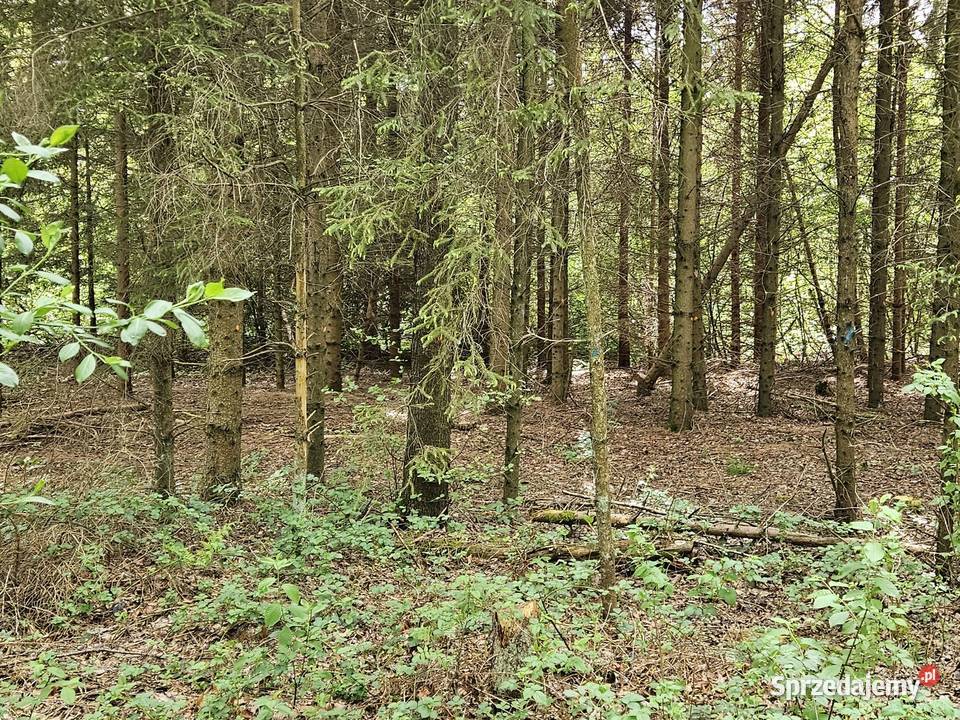 Działka inwestycyjna 3012 met Wrocławia Ostrowina