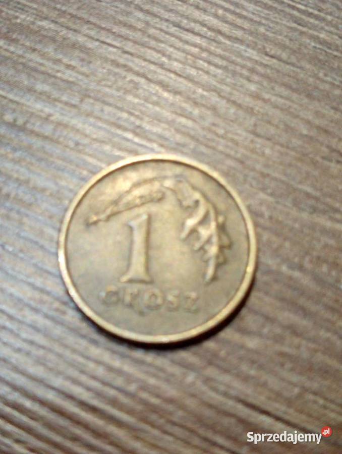 Sprzedam 1 grosz 1990 r Chełm