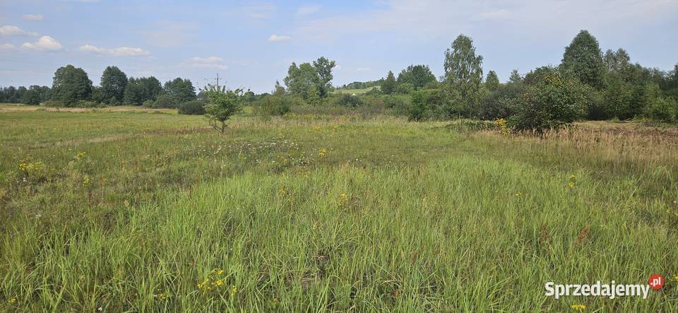 Udział 12 w nieruchomości gruntowej Kielce sprzedam