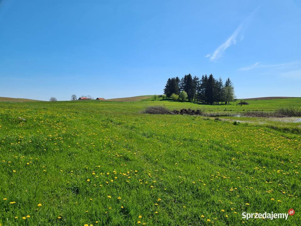 Tania budowlana jeziorem Sprzedaż Nieruchomości Blanki